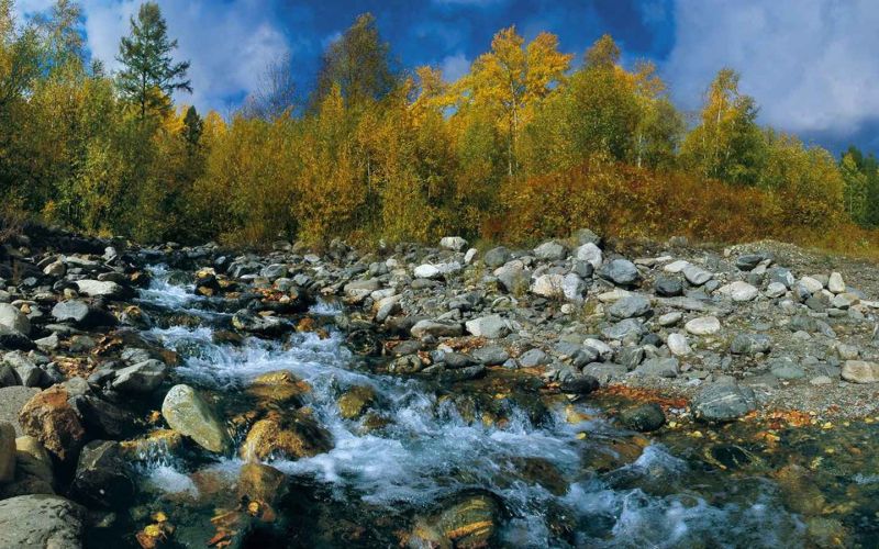 siberia dmfull12.jpg